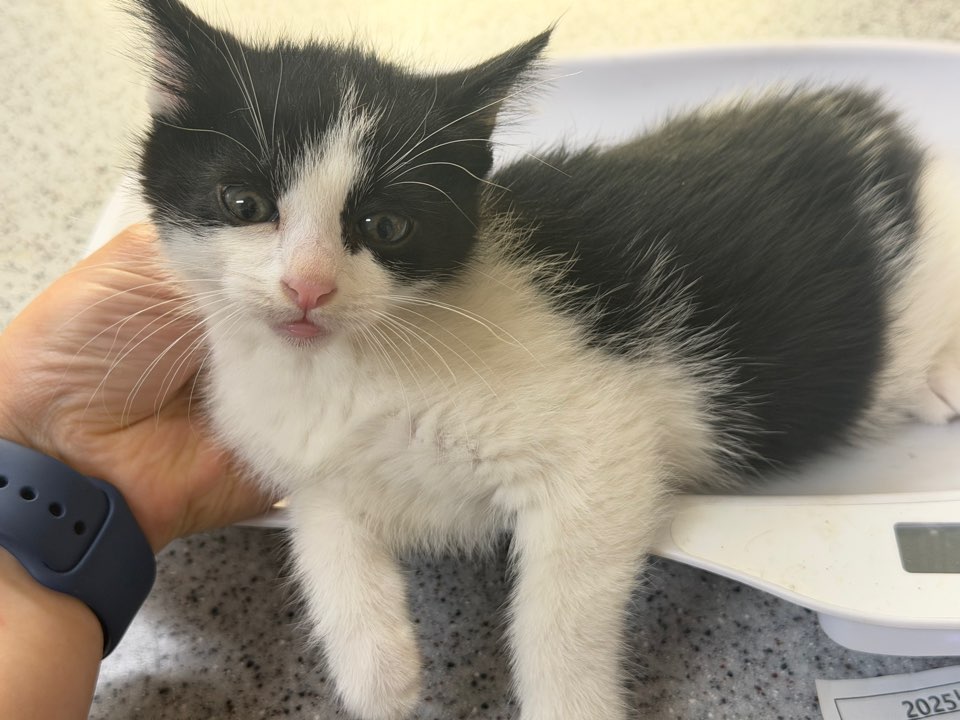 종료(기증) 한국 …